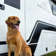 Model Z 3300 Fifth Wheels 43 RVing with Dogs