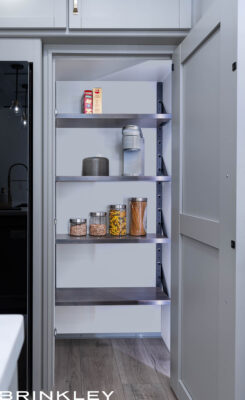 Model Z 3420 Fifth Wheels Kitchen Pantry Adj Shelves 2024 Brinkley RV 2794