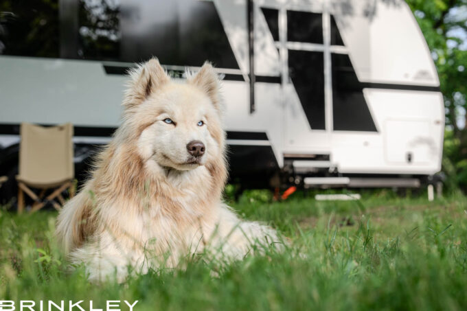 | Model I Travel Trailer Line 24 Dog/Pet Friendly Travel Trailer RV