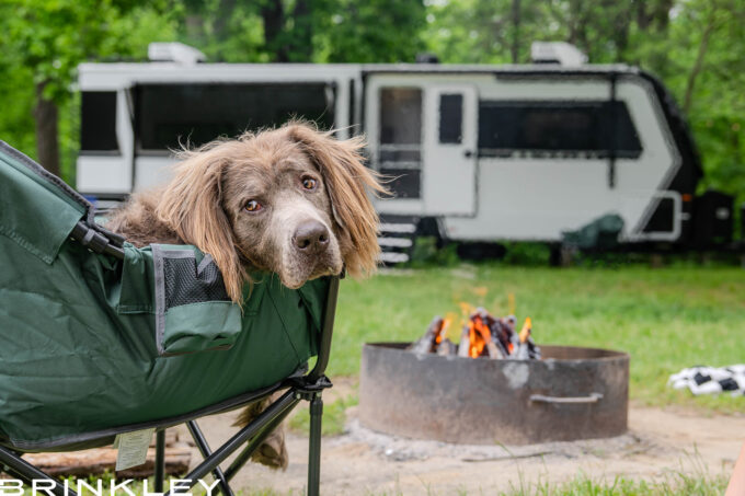 Dog/Pet Friendly Travel Trailer RV